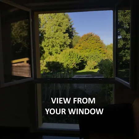 - Gabriella * Capiago Intimiano